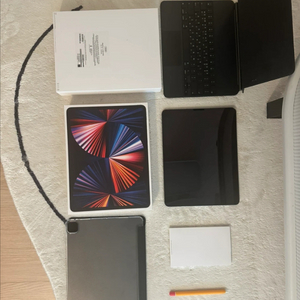 아이패드 프로 5세대 12.9 셀룰러 256기가