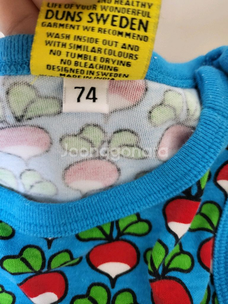 던스 74 덩가리--1