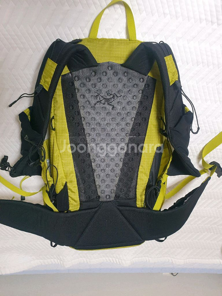 아크테릭스 에어리어스30--1