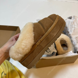 [미국어그] 새상품 타즐리타 220-225 사이즈