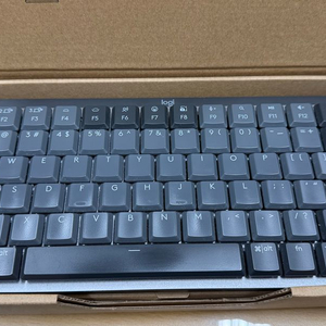 로지텍 mx mechanical mini 팝니다