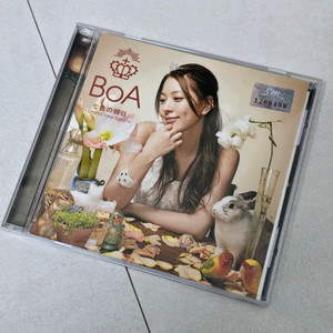 보아 일본 앨범 brand new beat