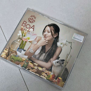 보아 brand new beat 일본 CD + DVD