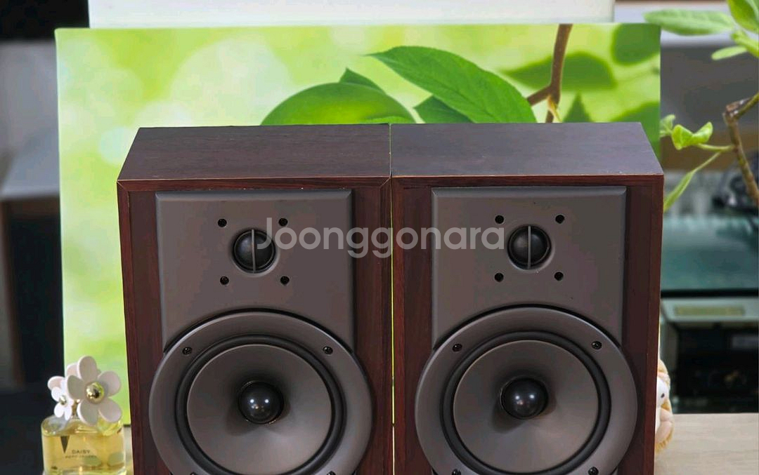 와와피데일 북쉘프스피커 아틀란틱 100ES--4