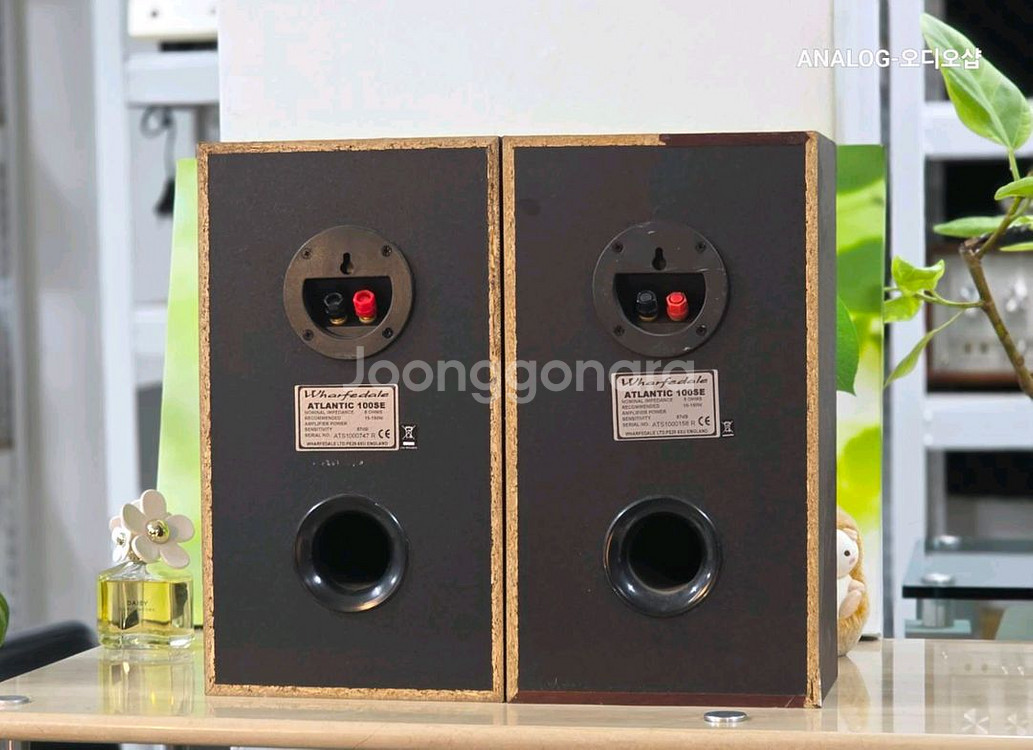 와와피데일 북쉘프스피커 아틀란틱 100ES--5