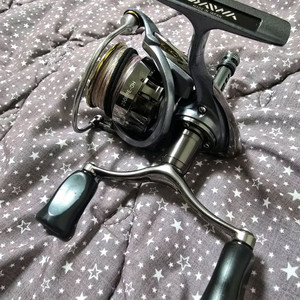 15루비아스 2508PE-DH