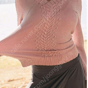 잇존어패럴 스펀지티