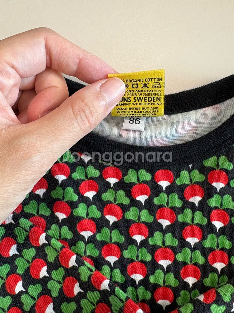 던스 미니순무 블랙 86--2