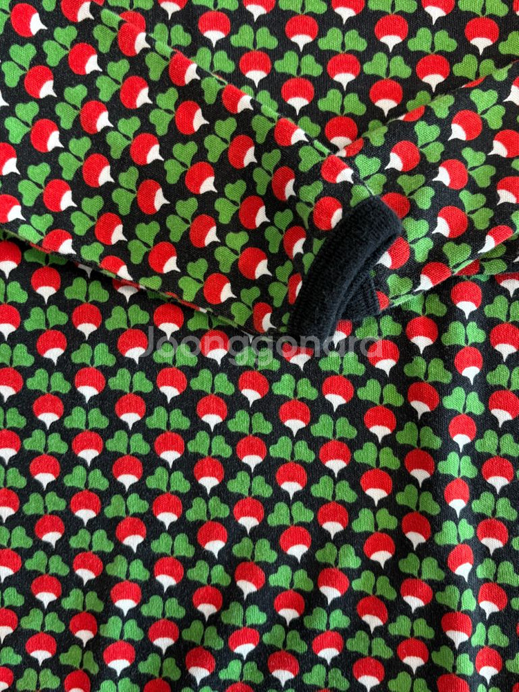 던스 미니순무 블랙 86--1