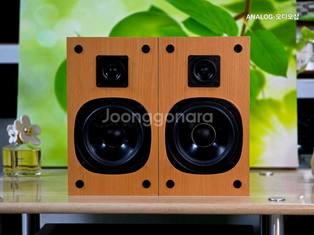 인켈 북쉘프스피커 SP-100C--2