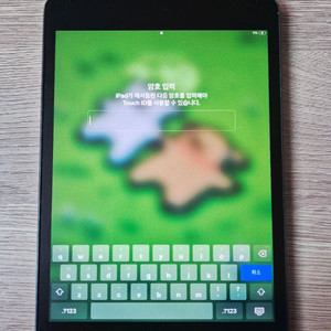 아이패드 미니5 64 WIFI