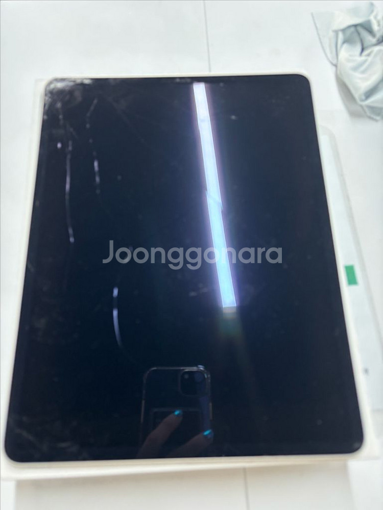 아이패드프로 12.9 4세대 256 wifi 스그 액파--0