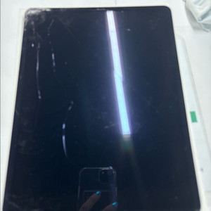 아이패드프로 12.9 4세대 256 wifi 스그 액파