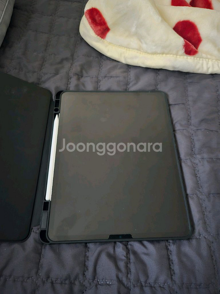아이패드 12.9 5세대 M1 256GB+애플펜슬2세--1