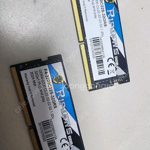 DDR4 지스킬 립조스 pc3200 32GB 2개