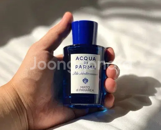 아쿠아 디 파르마 미르토 디 파나레아 75ml지중해해변--0