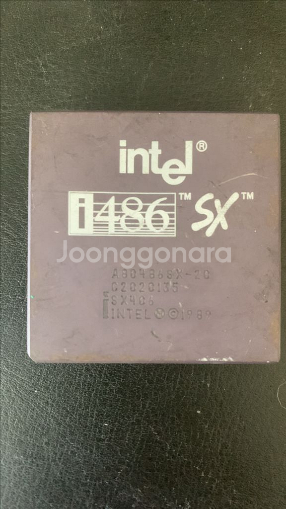 486SX-20 CPU--0