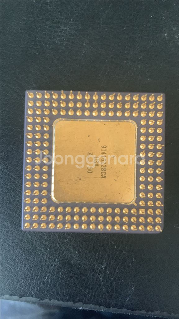 486SX-20 CPU--1