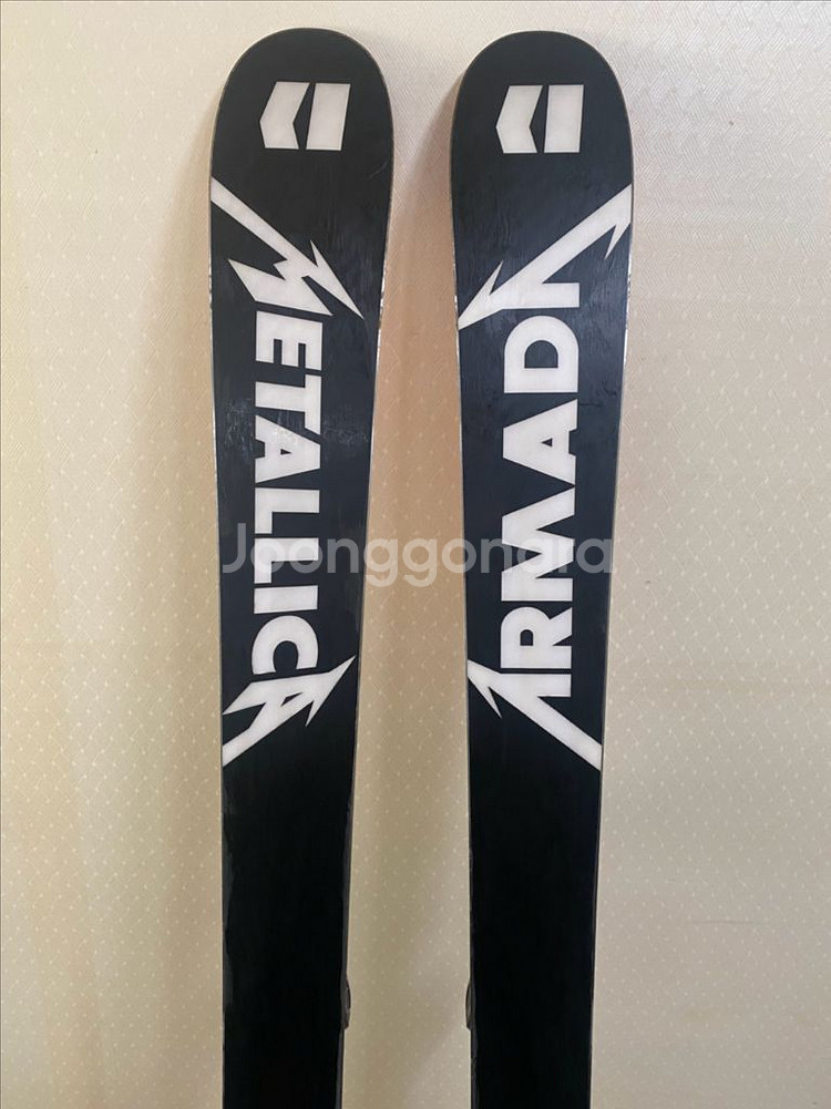 알마다메탈리카스키(프리스키,파우더스키,모글스키)--2