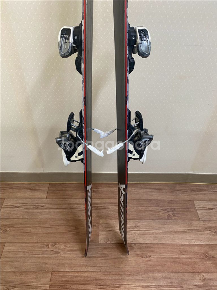 알마다메탈리카스키(프리스키,파우더스키,모글스키)--5