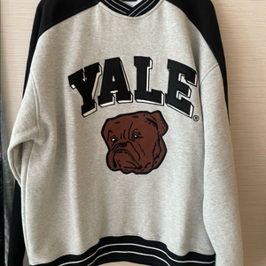공용) 예일 빈티지불독 브이넥 스웨트셔츠 그레이 m