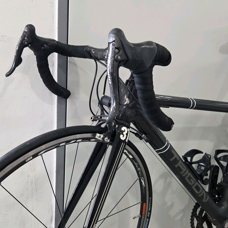 트리곤 캄파놀로 풀카본 로드 자전거 판매합니다 이미지