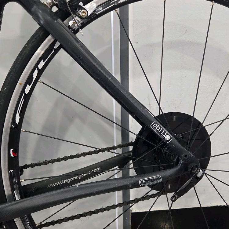 트리곤 캄파놀로 풀카본 로드 자전거 판매합니다 이미지