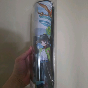 닌텐도2 포켓몬za특전 장패드