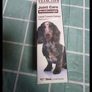 벳액티브 조인트 케어 액상 강아지 커큐민 영양제 새거