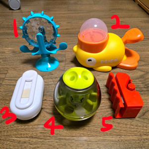 고양이 강아지 장난감