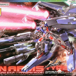 반다이 건담 프라모델 HG 엑시아 트란잠 GN암즈 E타