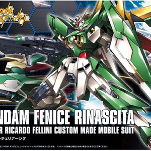 반다이 건담 프라모델 HG 건담 페니체 리나시타
