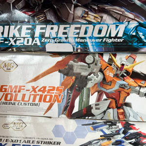 [미개봉] 용도자 데스티니 하이네 팝니다