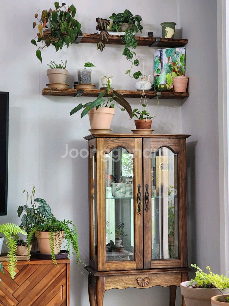 100년이상된 올드오크 빈티지 고재 벽선반 카페벽선반--3