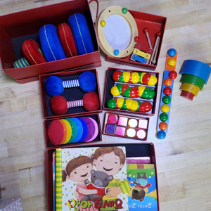 아가월드 몬테소리 다중지능 교구