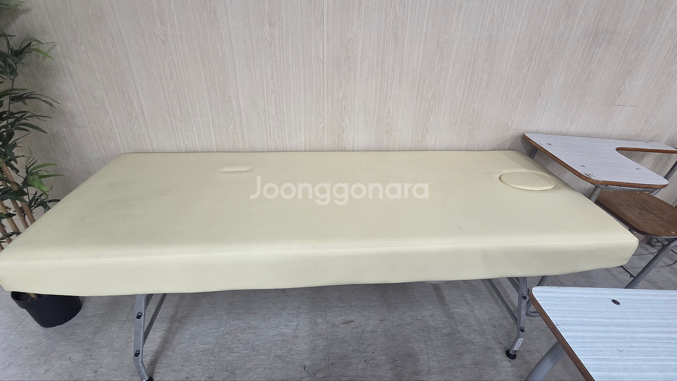 마사지침대 경락침대 경락베드(새것, 사용하지 않음)--1
