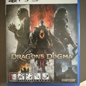 ps5 드래곤즈 도그마2