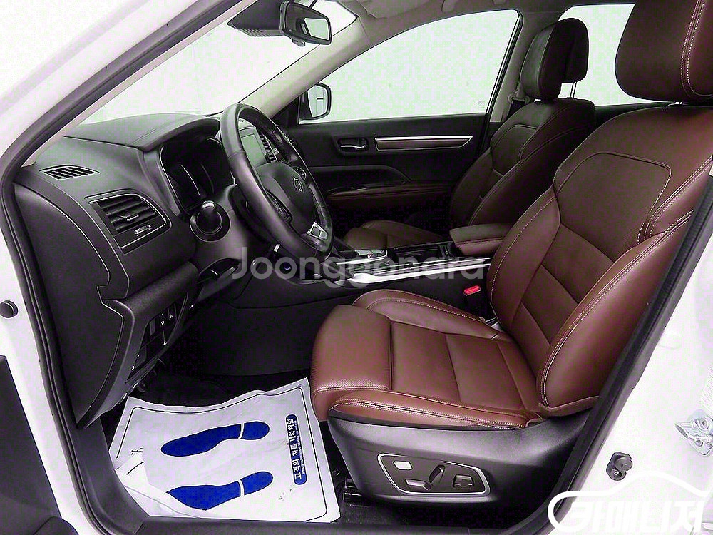 [르노코리아(삼성)]더뉴QM6 2.0 LPe RE 시그--6