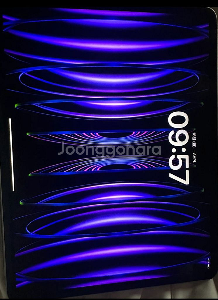 아이패드 프로 6세대 12.9인치 256 wifi--0