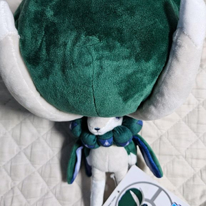 버드렉스 인형 포켓몬센터 정품 새제품