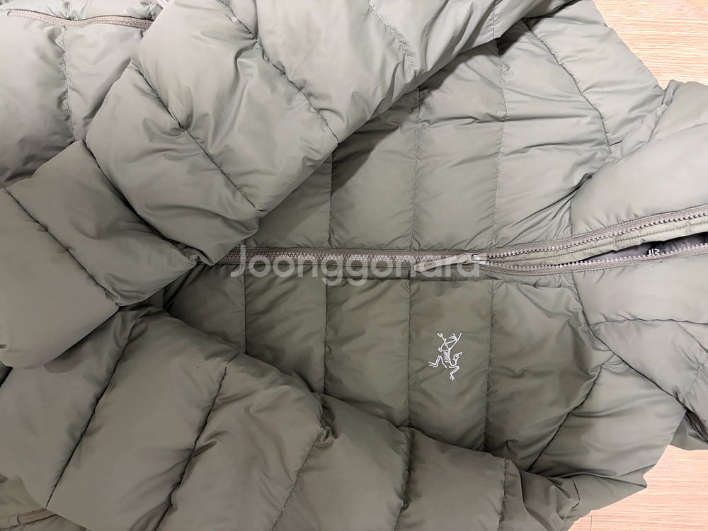 아크테릭스 토륨 포리지 L--1