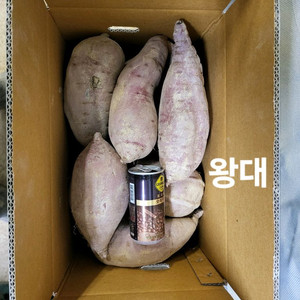 25년 햇꿀고구마 10kg 판매합니다.