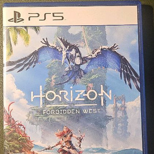 PS5 포비든웨스트 타이틀