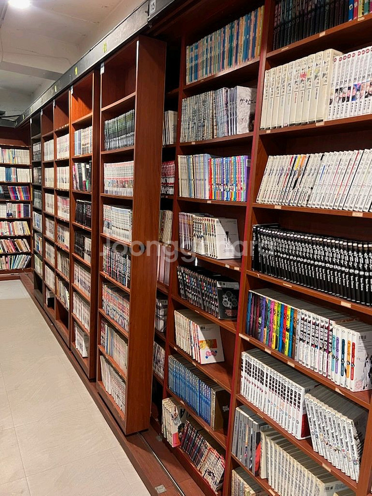 300개 만화방책장 만화카페책장 선반 다이 칸막이 진열--2