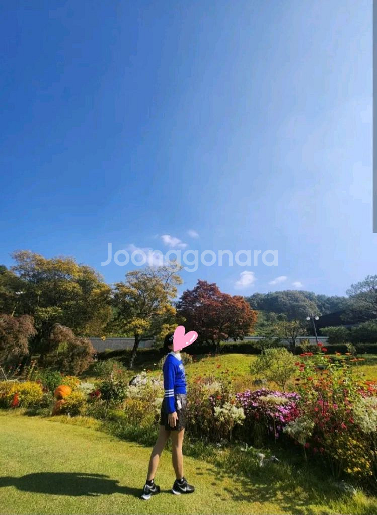 마르디 플라워 니트 풀오버 퍼플M--7