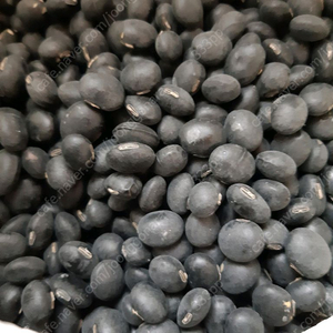 24년 서리태 팝니다 직접농사