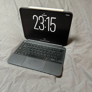 아이패드 프로 M4 11인치 256GB WIFI 스그