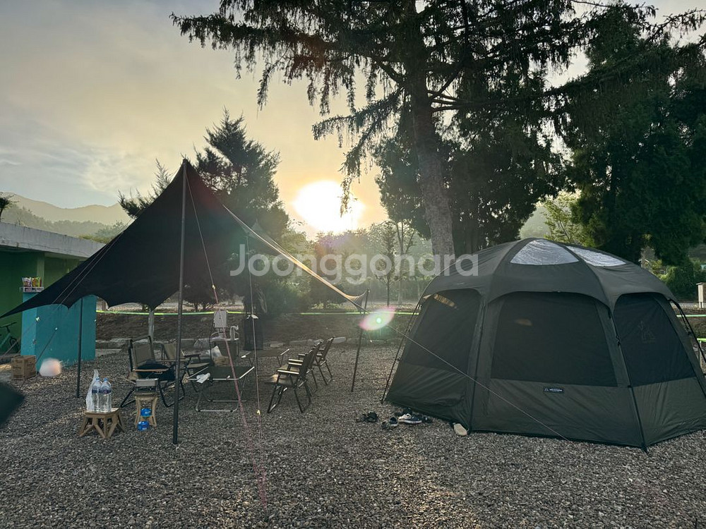 비바돔 플러스 +코지매트--0