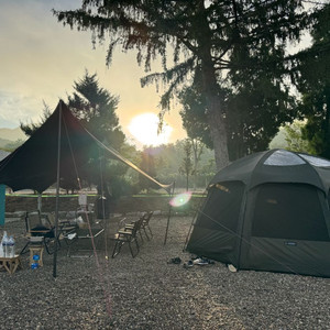 비바돔 플러스 +코지매트