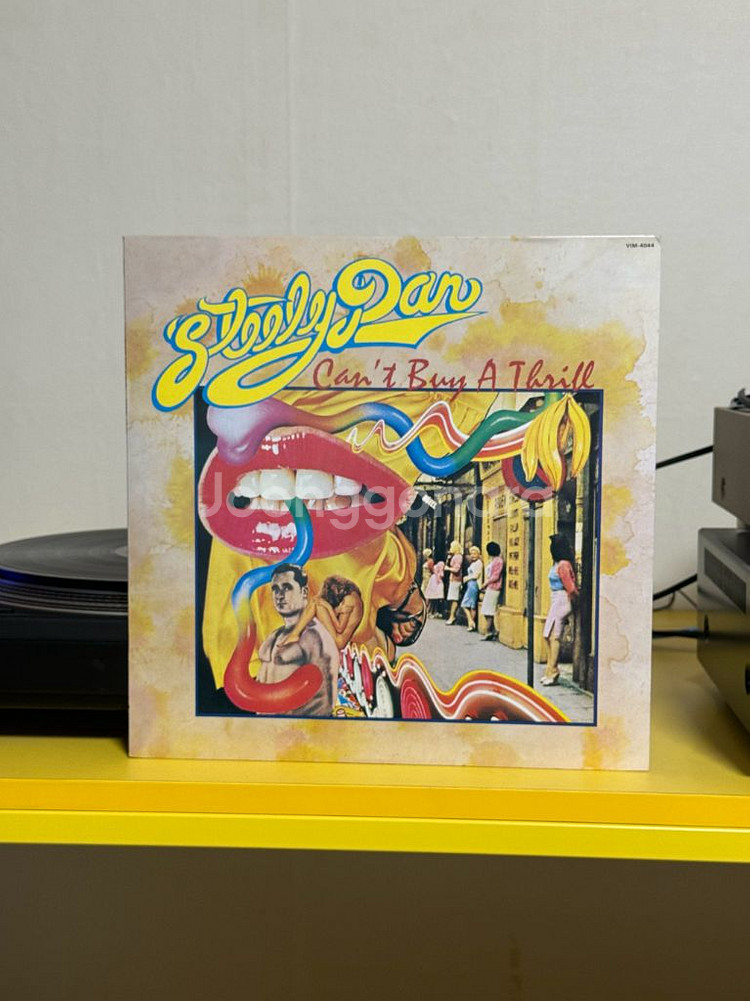 [AOR, Rock] Steely Dan LP 판매해요--0